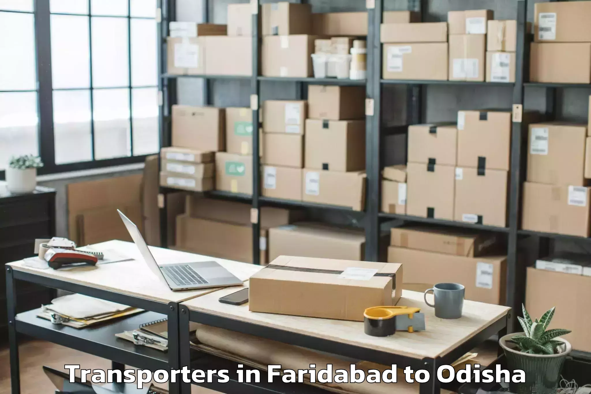 Book Faridabad to Baisinga Transporters Online